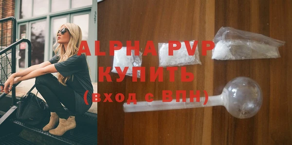 стаф Гусев