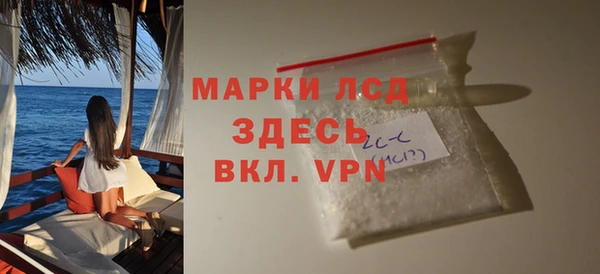 стаф Гусев