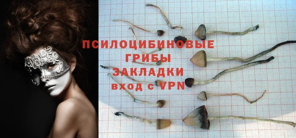 2c-b Гусь-Хрустальный