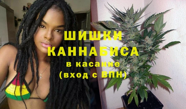 Альфа ПВП Гусиноозёрск