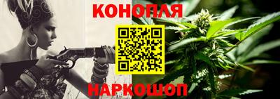 шишки Заводоуковск
