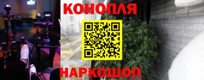 шишки Заводоуковск