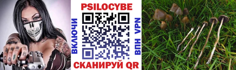 Галлюциногенные грибы Psilocybe  Наро-Фоминск 