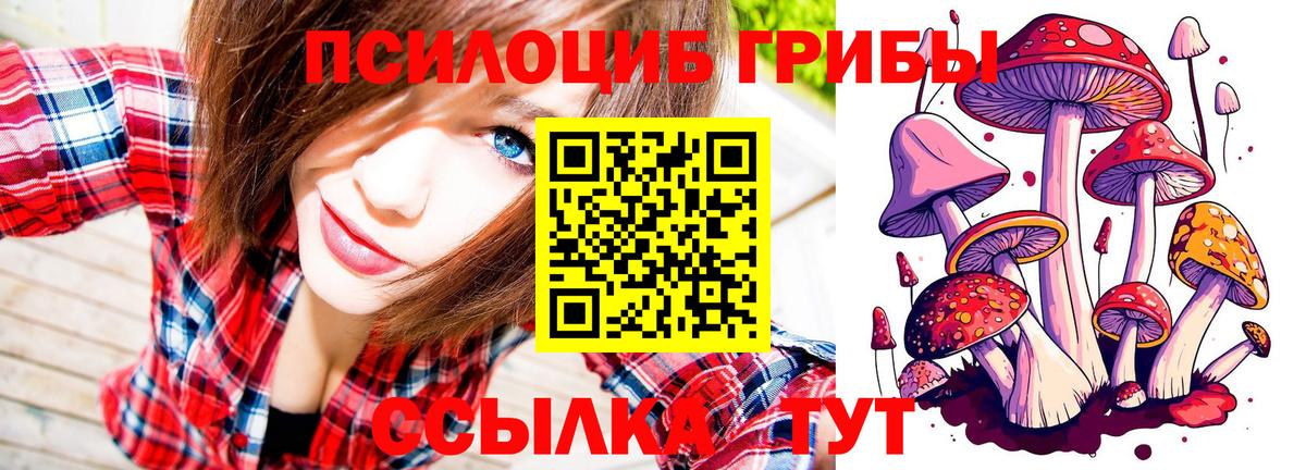 Галлюциногенные грибы Magic Shrooms  Галлюциногенные грибы MAGIC MUSHROOMS  Вход с VPN  Наро-Фоминск 